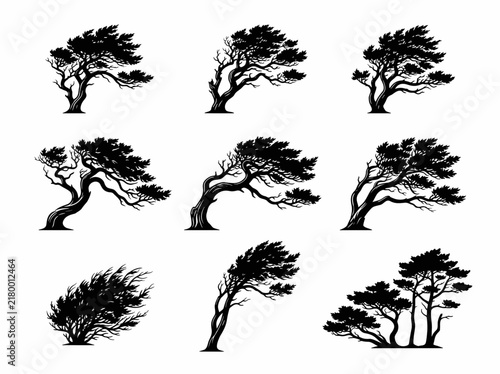 Windblown tree silhouettes set, bent pine trees in storm vector illustration collection