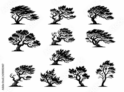 Set of windblown tree silhouettes for nature design and landscape vector graphics.