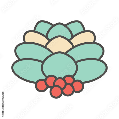 Stylized succulent plant with berries