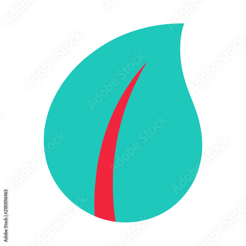 Teal leaf shape with red vein