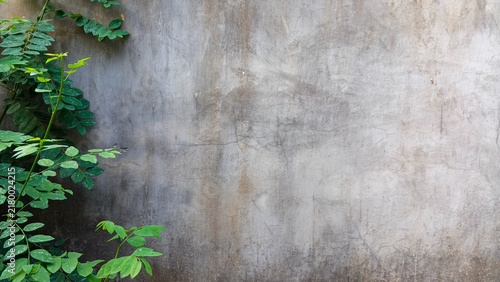 Concrete wall texture background with foliage beside it, space for text.