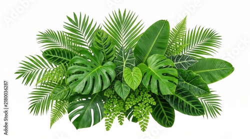 Tropical leaves arrangement displays a dense cluster of lush green foliage isolated on white background.