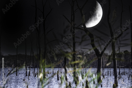 фотографія Moon On the Lake