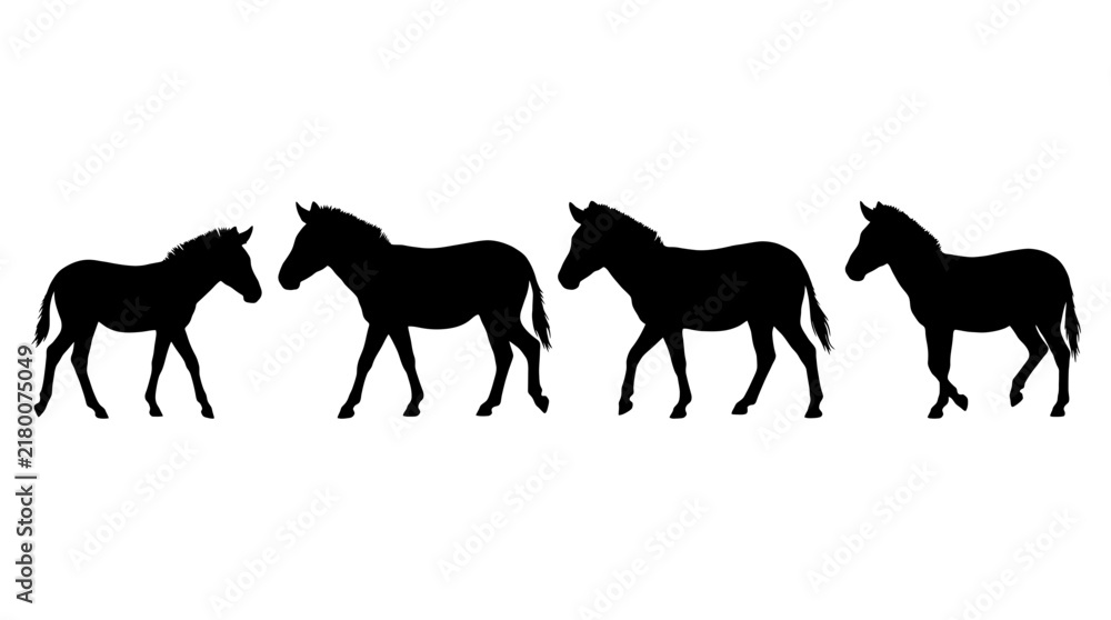 Fototapeta premium zebra realistic black shadow silhouette isolate vector set