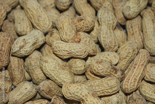 Bild auf Leinwand Pile of whole raw peanuts in shell macro close up