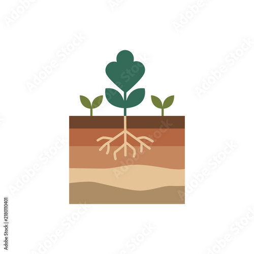 Minimalist graphic showing plant growth and underground soil layers