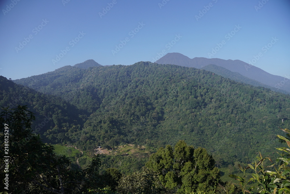 Fototapeta premium Lush Mountain Range and Tropical Forest Landscape Under Clear Blue Sky