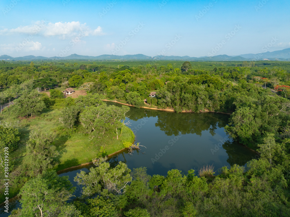 Fototapeta premium Freshwater lake among tropical forest. Watershed protection, natural carbon storage, biodiversity and sustainable environment. Water conservation, biodiversity and sustainable natural resources.