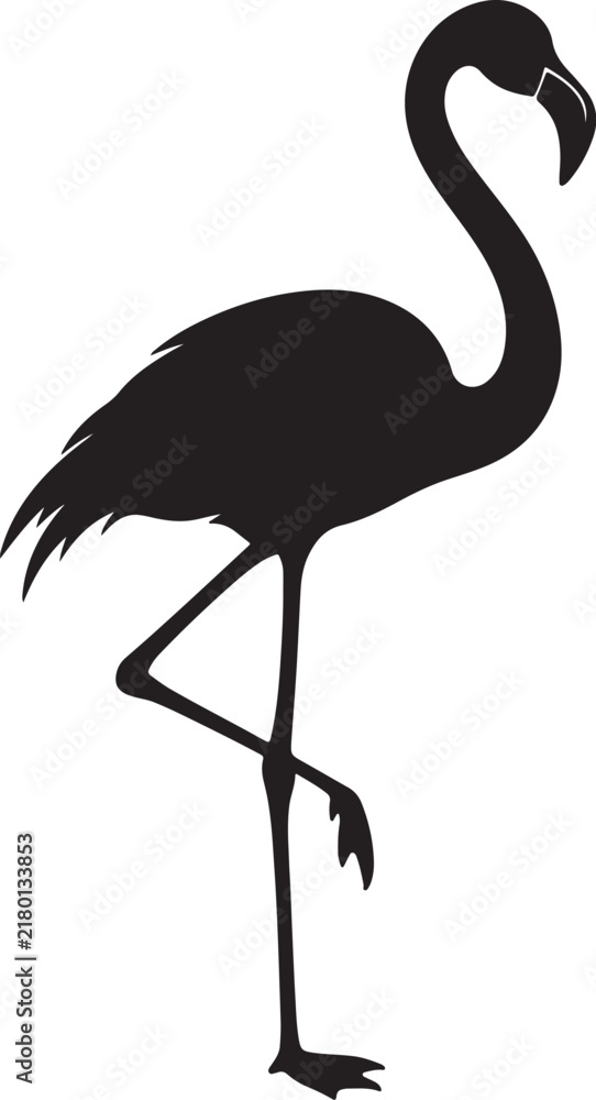 Fototapeta premium Flamingo Bird Silhouette Isolated on White Background
