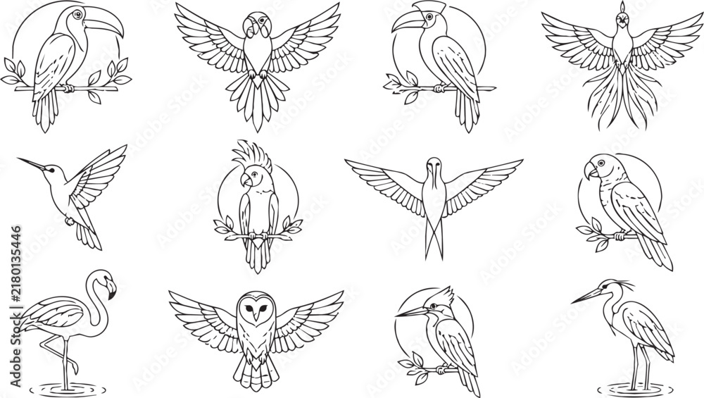 Obraz premium Tropical bird collection set with line art vector illustrations