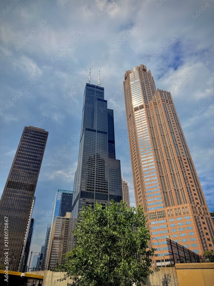 Fototapeta premium Chicago city