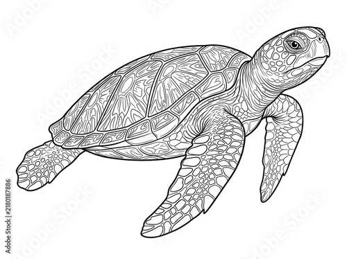 A detailed black and white line drawing of a sea turtle swimming in the ocean. The turtle has a textured shell and flippers.