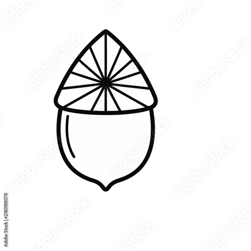 Outline of an acorn