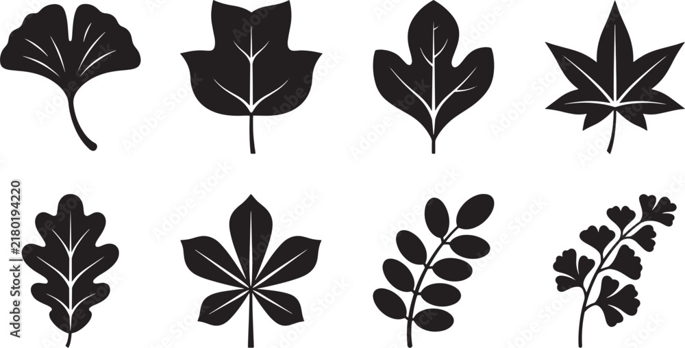 Obraz premium Black leaf silhouettes set with ginkgo biloba oak and maple leaves isolated on white background