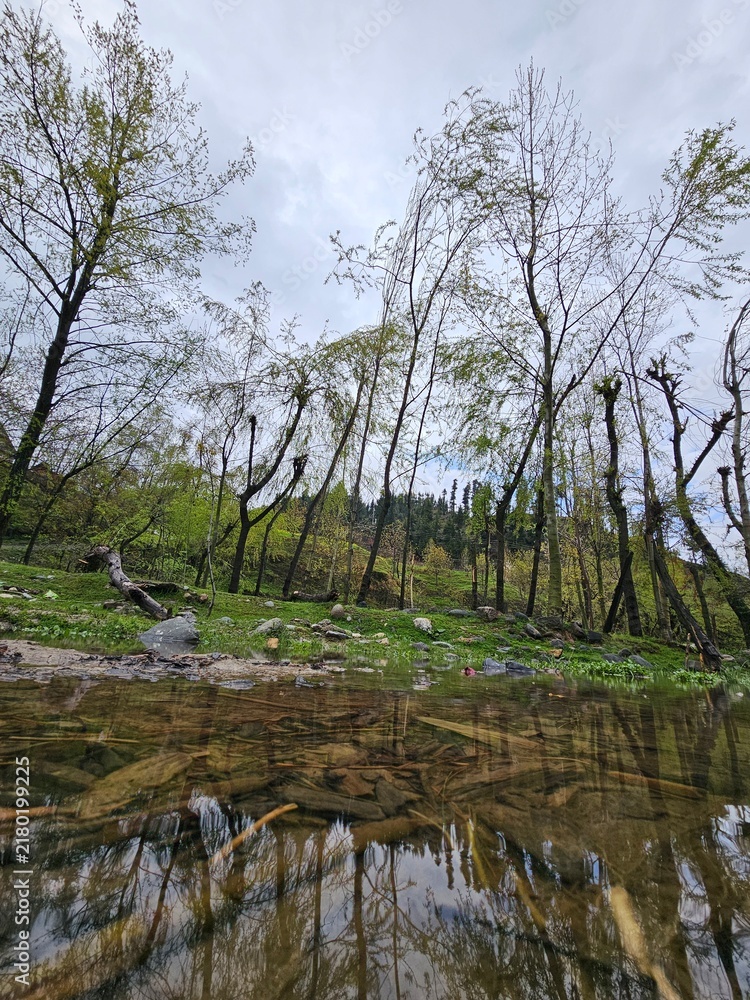 Obraz premium Beautiful Green Landscape with Mountains and Wildflowers in Bungus Valley, Kashmir