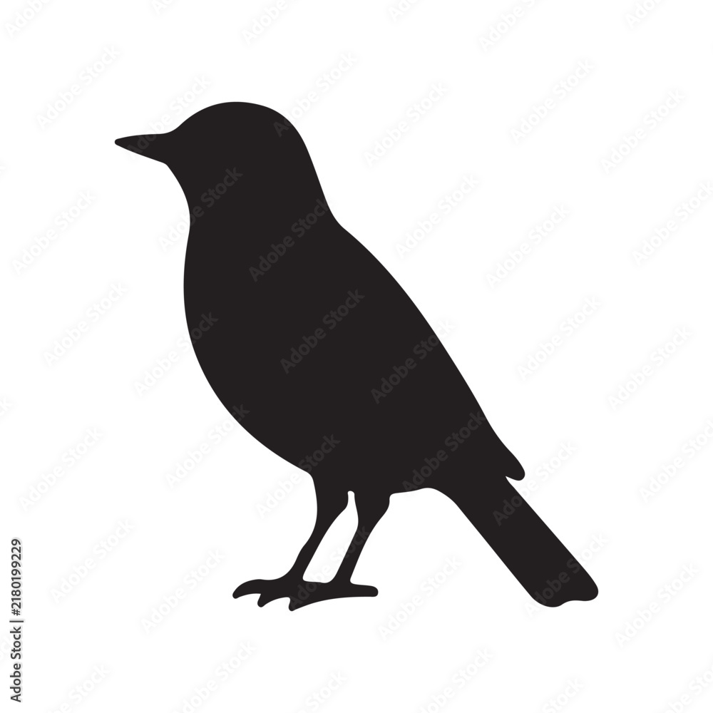 Fototapeta premium Black silhouette of a Nightingale vector illustration