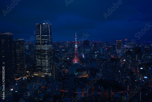 Canvastavla Night of Tokyo, Tokyo Tower, from Mori Tower