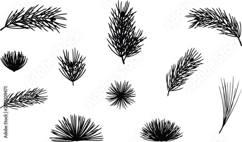 Black silhouette collection of pine tree branches and needle clusters