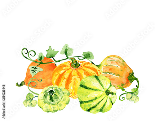 Watercolor pumpkin patch card template isolated on a white background. Natural hand drawn autumn illustration