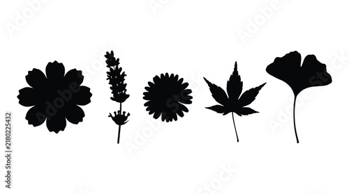 Flower and leaf silhouette set, various plant shapes for botanical and natural design elements.