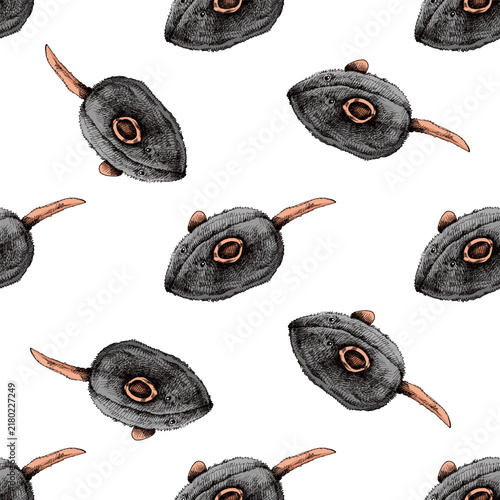 Bild auf Leinwand Cat toy mouse seamless pattern color vintage engraved hand drawn illustration