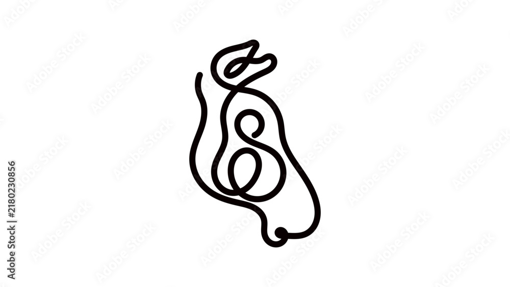 Fototapeta premium Zebra drawing in one line, black isolated vector silhouette