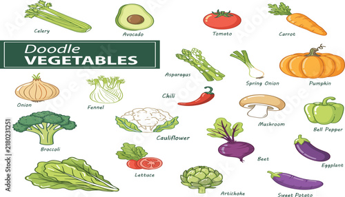 Doodle Vegetables Hand Drawn Vector Icon Set featuring Celery, Tomato, Broccoli, Pumpkin, Cauliflower, Carrot, and Mushroom for Healthy Food Graphic Designs