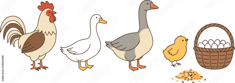 Obraz premium Farm Poultry Birds Vector Illustration Set with Rooster Duck Goose Cute Yellow Chick and Basket of Eggs
