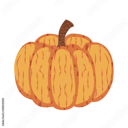Cute orange autumn pumpkin illustration isolated on white background