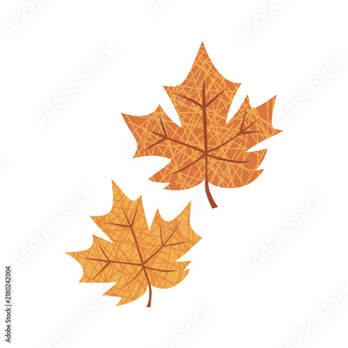 Cute autumn orange maple leaves illustration isolated on white background
