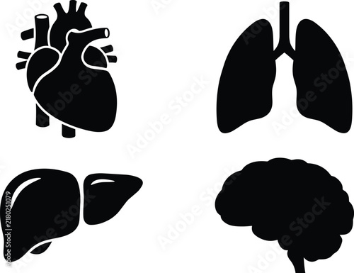Human internal organs black silhouette vector icon set featuring heart lungs liver and brain