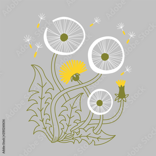 Decorative Dandelion Flower Embroidery Pattern Vector Hand Drawn Ink Illustration Fluffy White Seed Heads Grey Background Botanical Card Design Sketch