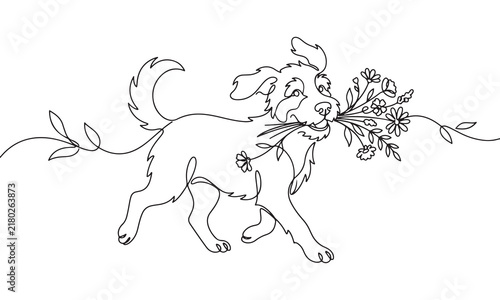 Continuous single line of a happy dog walking and carrying a bouquet of wild flowers in its mouth, minimalist isolated on a clean white background, line