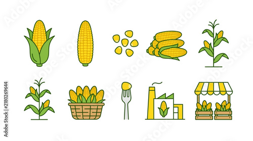 Corn production steps are illustrated with icons showing stalks, ears, seeds, factory processing, and market stalls.
