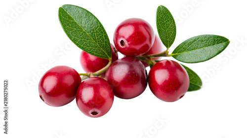 Fresh red cranberries with green leaves isolated on transparent background