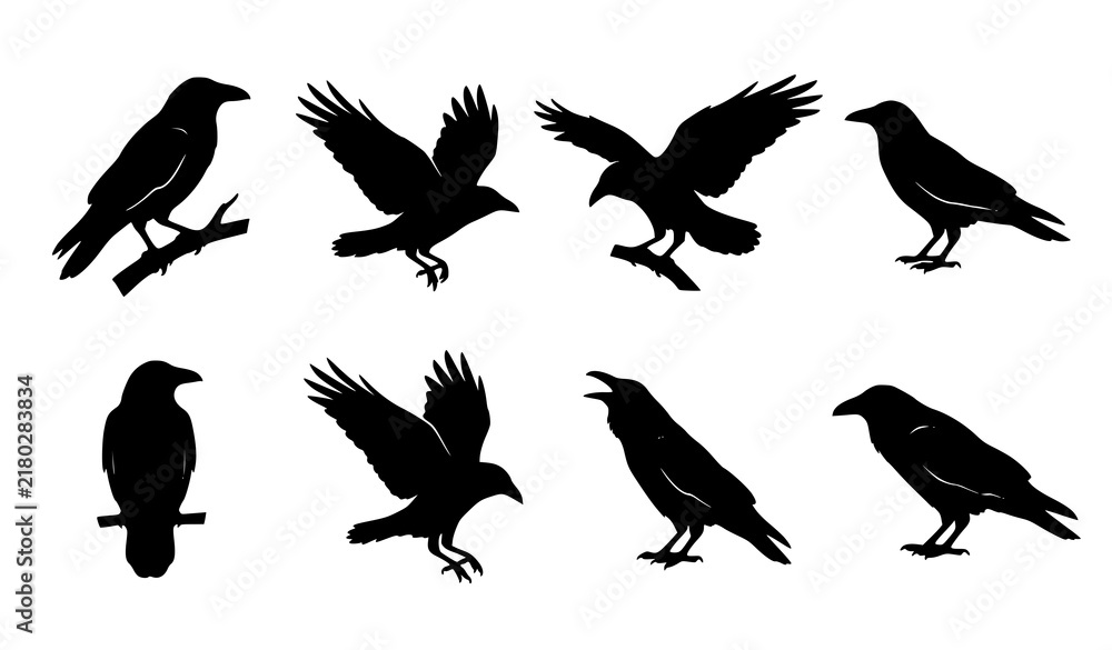 Obraz premium Raven and Crow Bird Silhouette Icon Set Vector Illustration