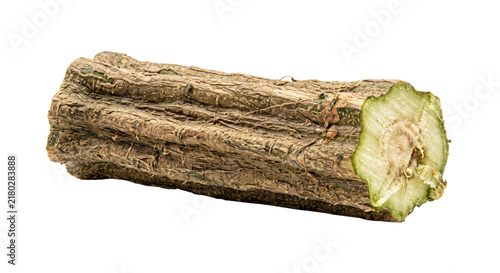 Konstfotografi Close-up of a thick, rough, woody plant stem with a cut cross-section showing te
