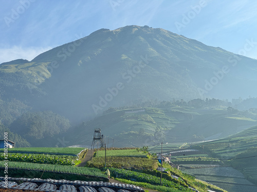 Agricultural field on the mountain slope