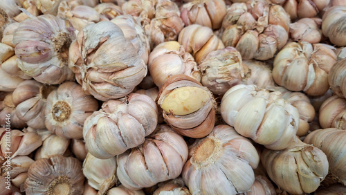 Obraz na plátně Fresh whole garlic bulbs piled together, showcasing Allium sativum as a natural