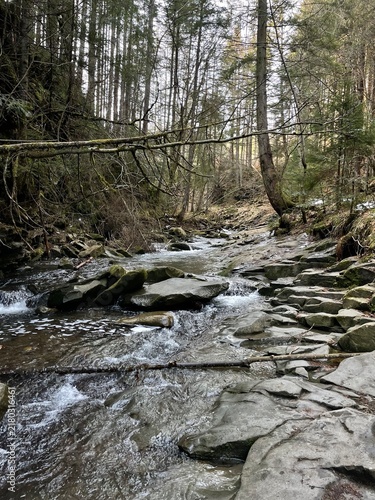 Quadro su tela river in the forest