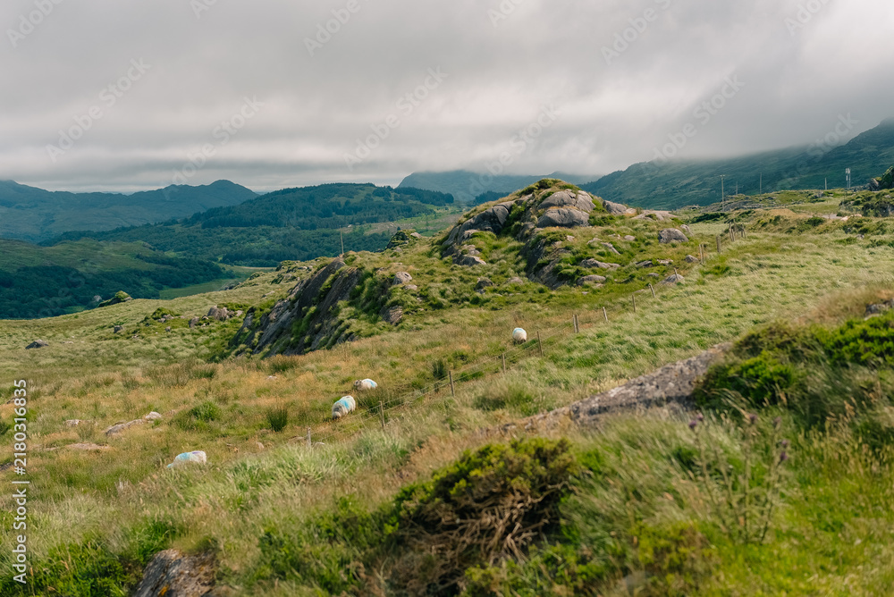 Fototapeta premium Winding Healy Pass mountain road R574 through the Caha Mountains on the Beara Peninsula, Ireland - 4 September 2026.