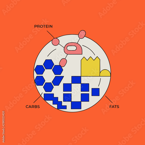 Macronutrients Nutrition Infographic with Protein Carbs and Fats 