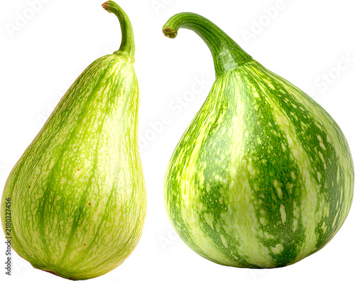 Two fresh green striped raw gourds with stems isolated on solid white background

