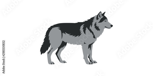 фотографія Majestic grey wolf standing profile view, strong wild animal silhouette, isolated on transparent background for design