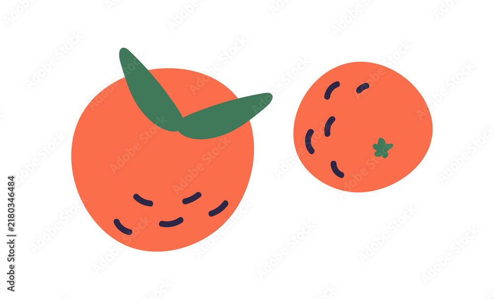 Obraz premium Mandarins, orange fruits. Tangerines, hand-drawn citrus composition. Vitamin food, natural snack. Tropical exotic clementines. Flat vector illustration isolated on white background