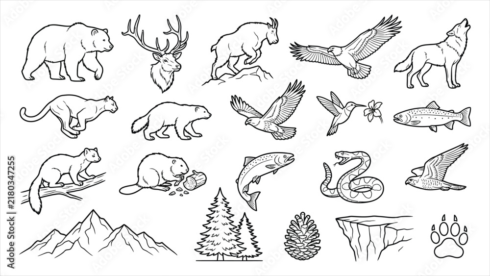 Obraz premium Detailed Outline North American Wilderness and Mountain Animals Set.