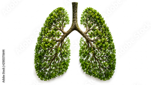 Human lungs shaped from green tree branches and dense fresh leaves isolated on white background representing environment health ecology concept and clean air