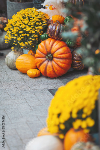 Vibrant pumpkins and cheerful chrysanthemums brighten a fall market scene