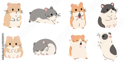 Set of cute hamsters in various poses isolated on white background. Adorable pet characters standing, sleeping, eating seeds, and playing for children books, stickers, and pet care products