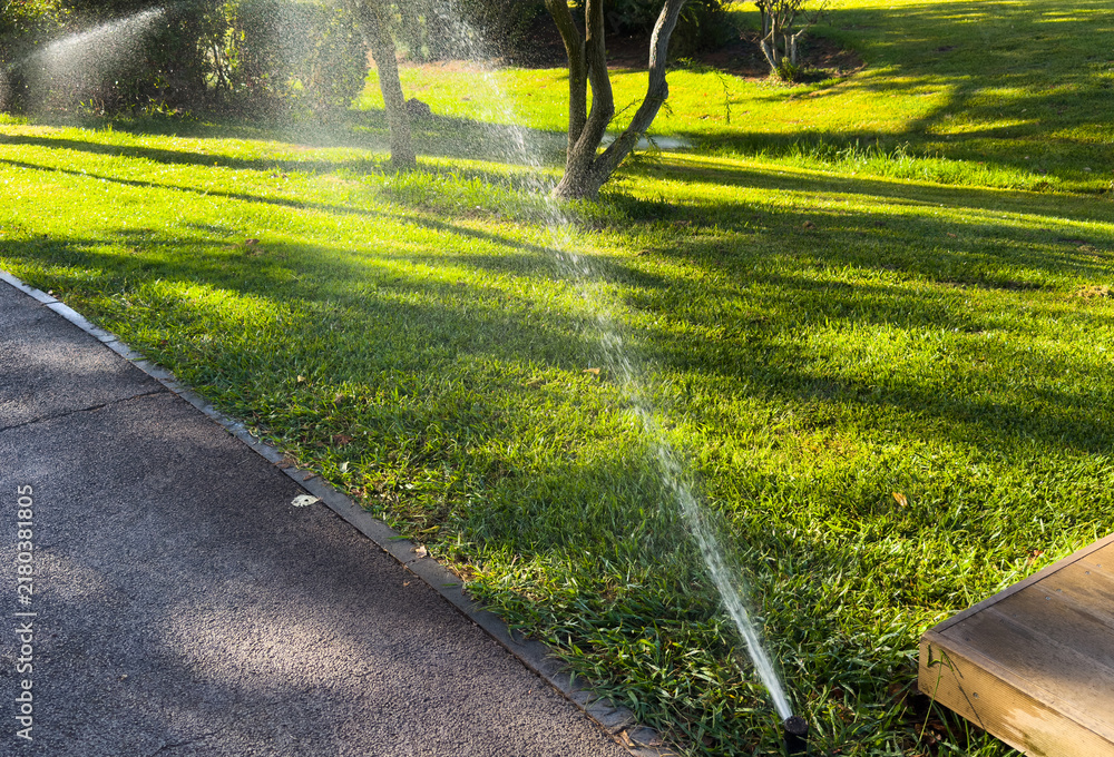 Obraz premium garden sprinkler on the green lawn 
